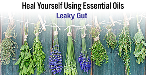 Heal Yourself Using Essential Oils - Leaky Gut - KG Stiles, Instructor BA, CBT, CBP, LMT - SAVE 20% OFF!-Consulting & Tutorial Programs-PurePlant Essentials