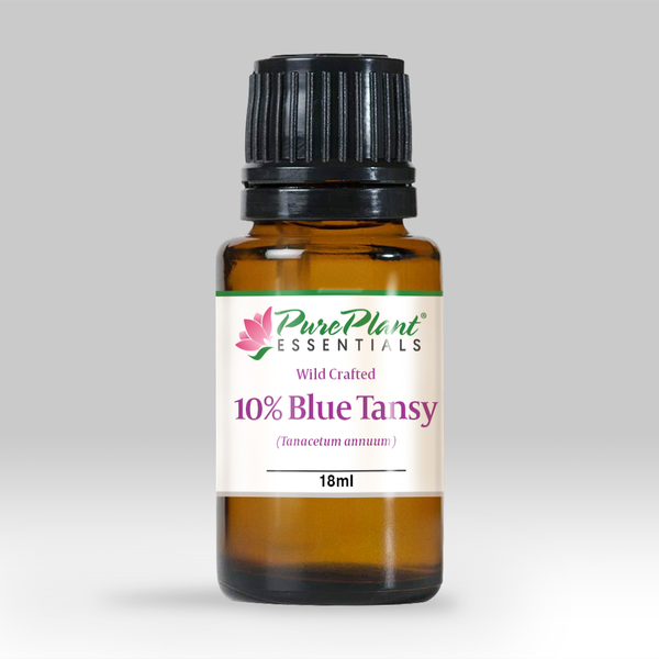 Blue Tansy Oil, Tanacetum anuum 10% Dilution - Wild Crafted Organic, Morocco - SAVE 40% OFF!-Single Pure Essential Oil-PurePlant Essentials