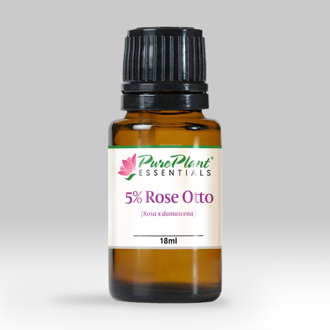 Rose Otto Essential Oil, Rosa x damascena 5% Dilution - Bulgaria - SAVE Up to 40% OFF!-Single Pure Essential Oil-PurePlant Essentials