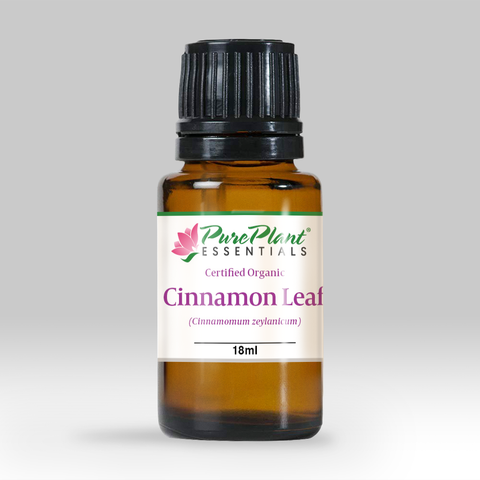 Cinnamon Leaf Oil, Cinnamomum zeylanicum - Organic, Madagascar (High Phenol) - SAVE Up to 30% OFF!-Single Pure Essential Oil-PurePlant Essentials
