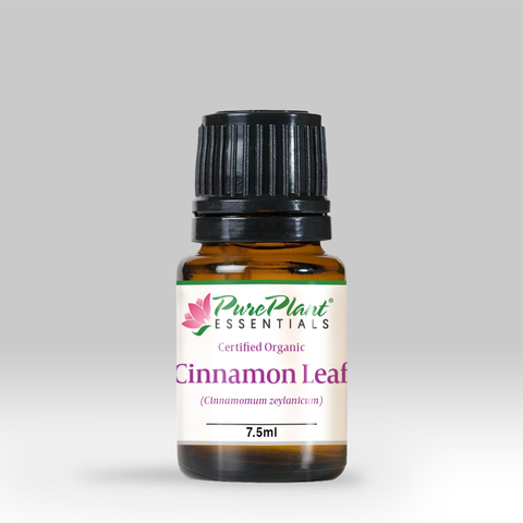 Cinnamon Leaf Oil, Cinnamomum zeylanicum - Organic, Madagascar (High Phenol) - SAVE Up to 30% OFF!-Single Pure Essential Oil-PurePlant Essentials