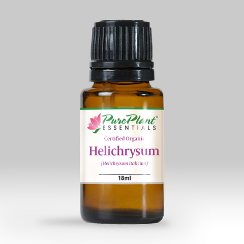 Helichrysum Oil, Helichrysum italicum - Organic, Corsica - SAVE Up to 30% OFF!-Single Pure Essential Oil-PurePlant Essentials