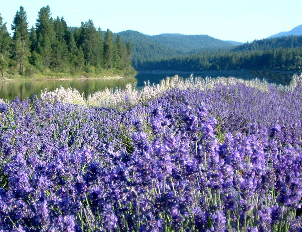 Feeling Overwhelmed - How to Turn It Around, Part 3