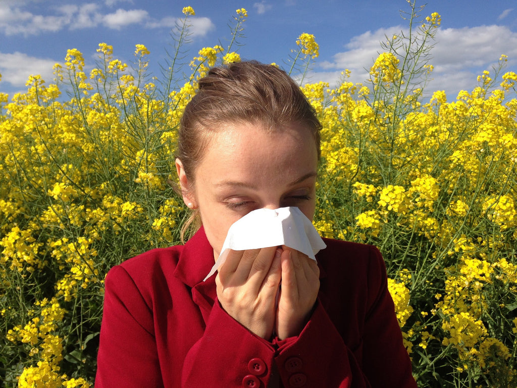 Essential Oils for Sinus How to Use Them