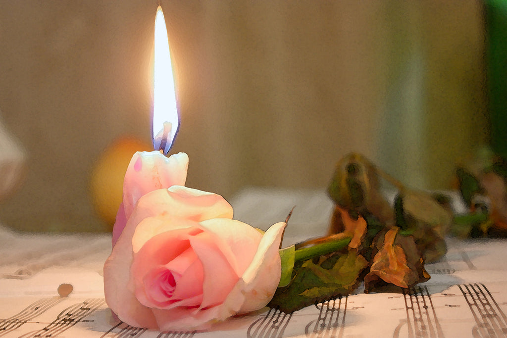 Healing Your Relationships Aries Full Moon Astrology, Meditation & EO Recipe