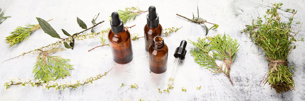 FREE pH Food Chart - Intuitive Living Using Essential Oils & Food As Medicine