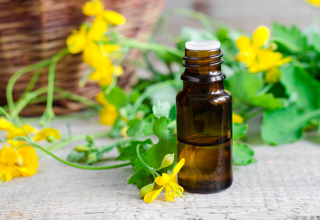 6 Steps to Increased Energy & Longevity Key Essential Oils to Use