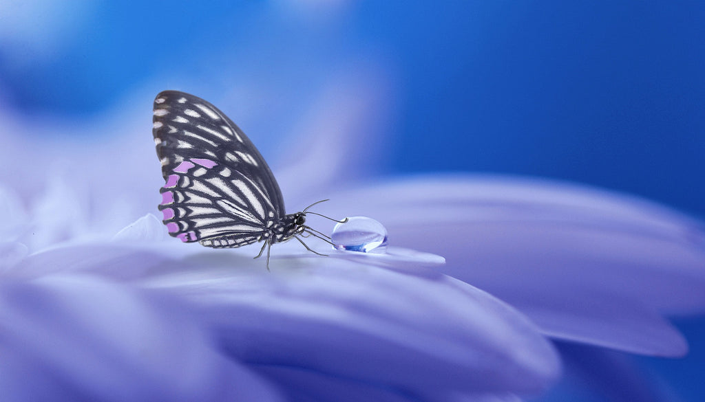 I Can Choose to See Things Differently What else can this mean? Angelic Assistance & EO to Use