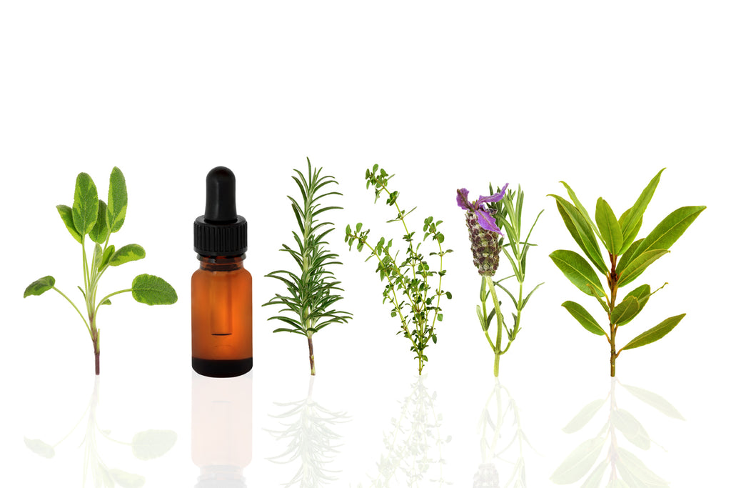 Are Your Symptoms a Sign of Leaky Gut? Natural Remedy for Leaky Gut