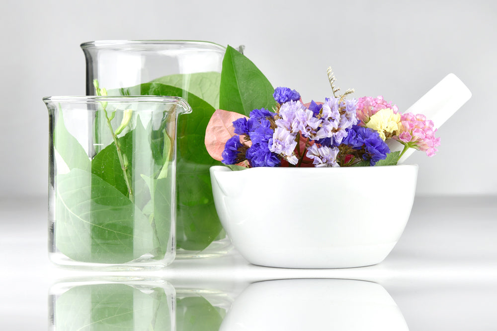 The Spiritual Directors of Aromatherapy Lactones