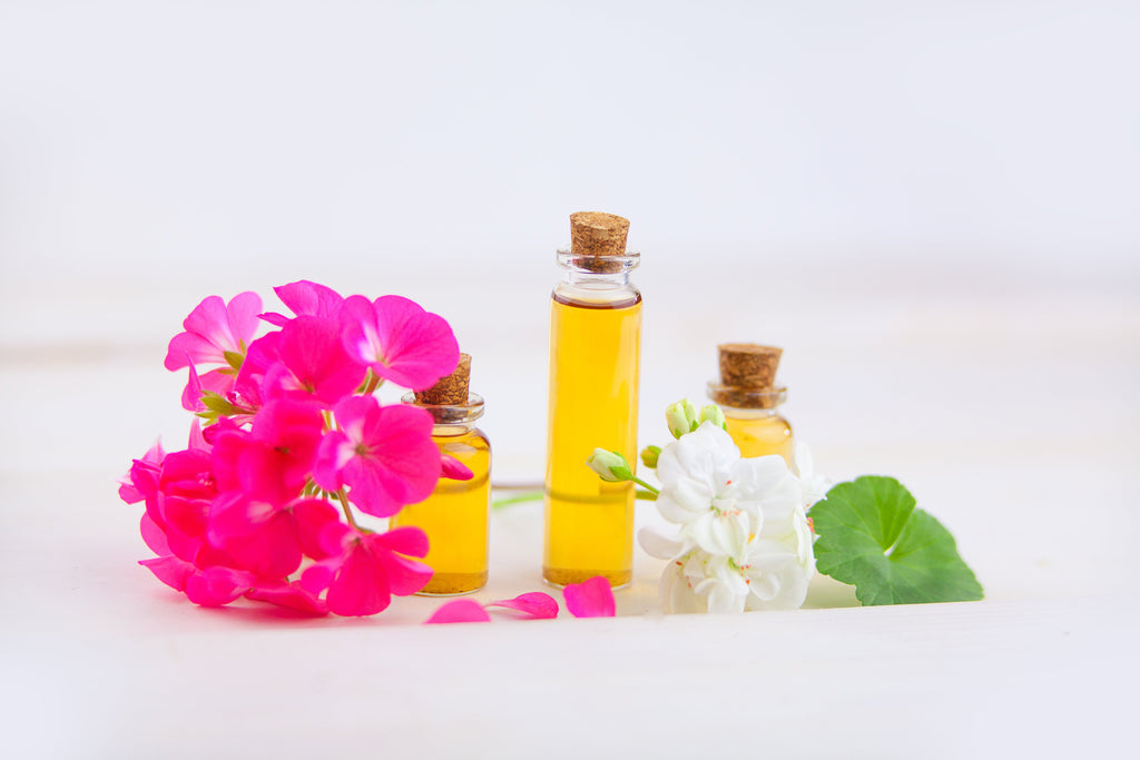 Rose Geranium: Every Woman’s Ally for Balance & Radiance—Science & Self-Care Rituals
