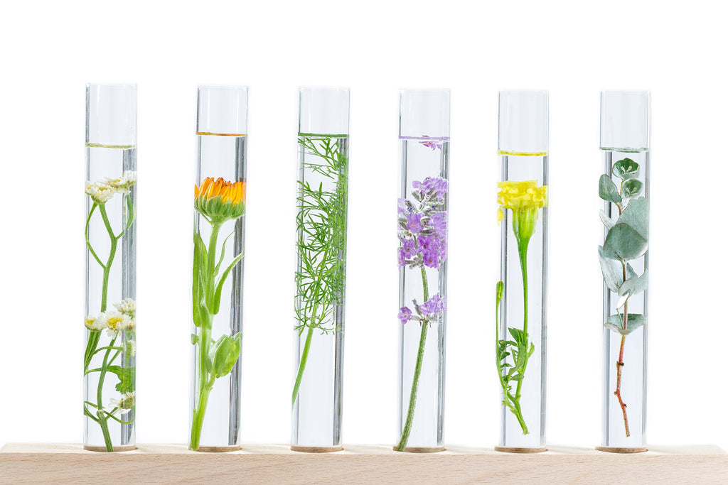 Aromatherapy's Global Popularity as a Complementary Alternative Medicine