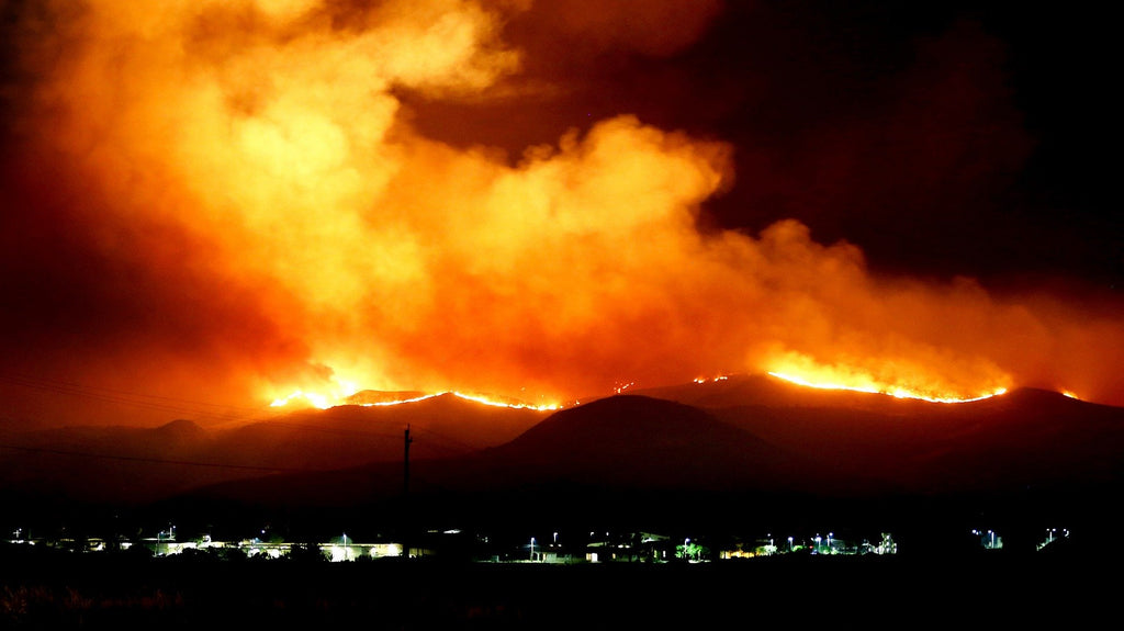 Climate Change Rages - Healthy Home, Healthy Planet EO Recipe