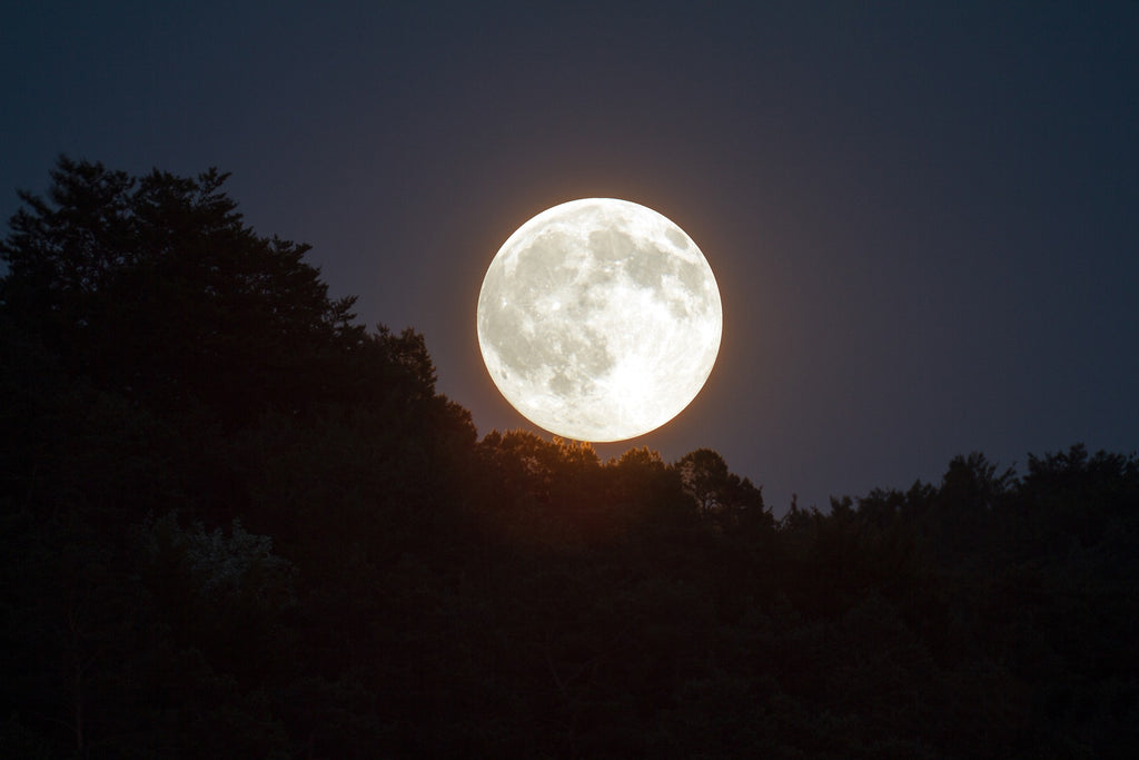Time of Harvest & Illumination Aquarius Full Moon Astrology +Meditation & EO Recipe 