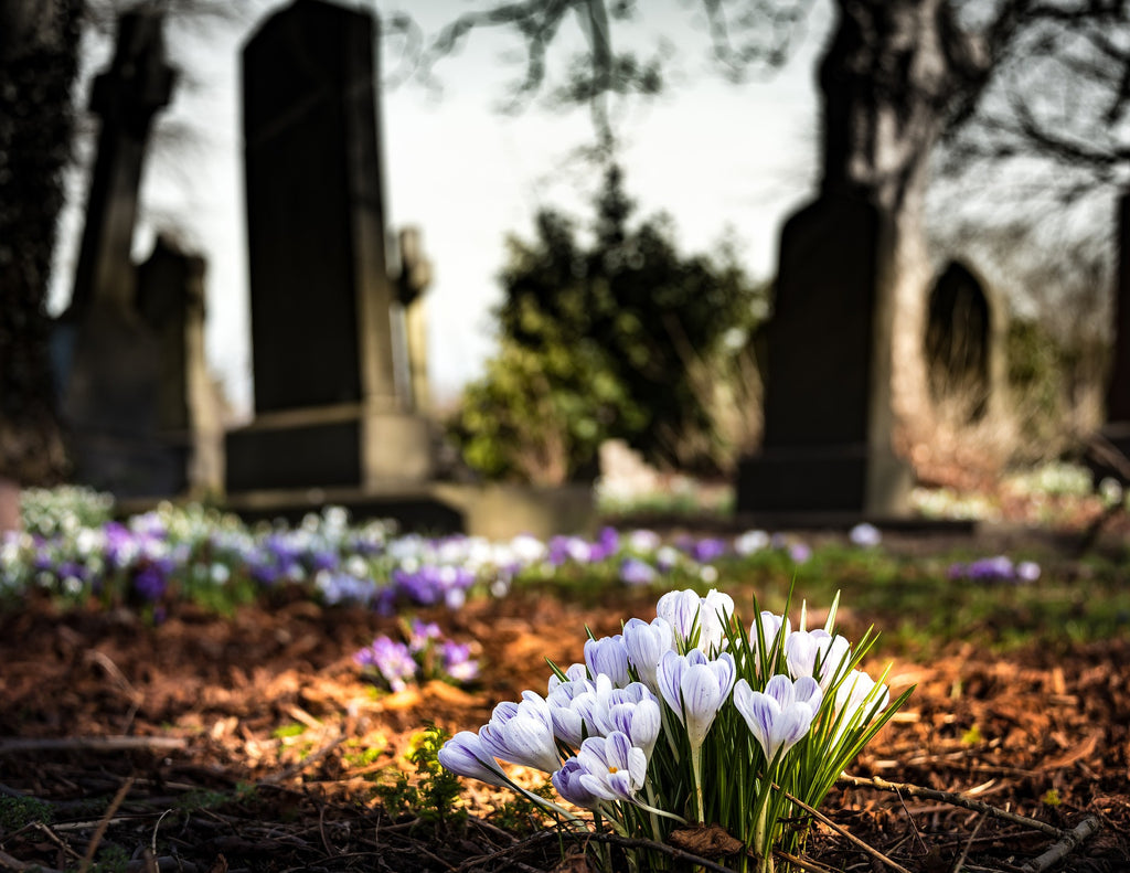 How to Thrive After a Cancer Diagnosis -- By KG Stiles