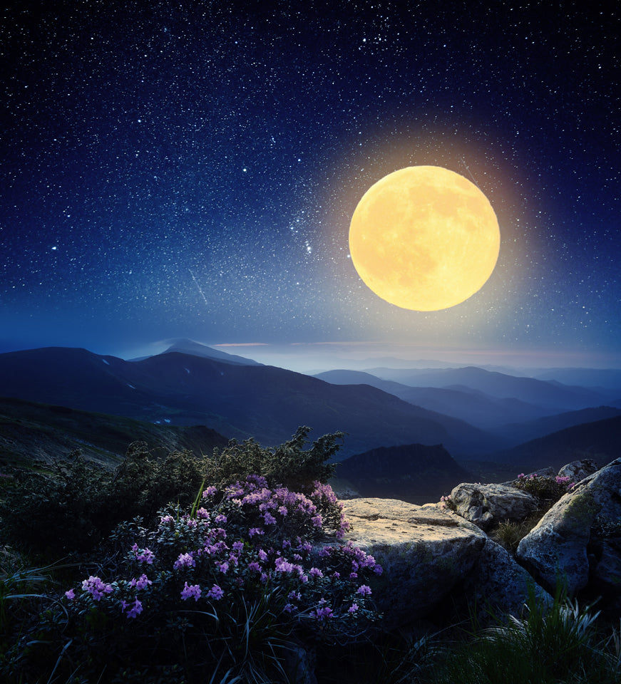 2022 Astrological Moon Calendar +Essential Oils to Use