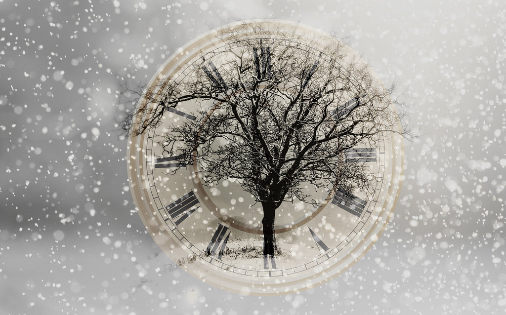 Winter Solstice & Christmas Meditations EOs To Use Get Your Endings & Beginnings Right!