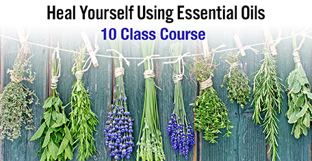 Heal Yourself Using Essential Oils - (10 Lesson Course) KG Stiles, Instructor BA, CBT, CBP, LMT - SAVE 40% OFF!-Consulting & Tutorial Programs-PurePlant Essentials