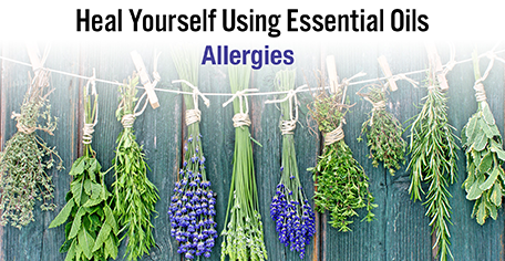 Heal Yourself Using Essential Oils - Allergies - KG Stiles, Instructor BA, CBT, CBP, LMT - SAVE 20% OFF!-Consulting & Tutorial Programs-PurePlant Essentials