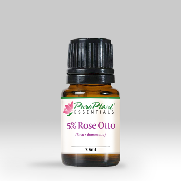 Rose Otto Essential Oil, Rosa x damascena 5% Dilution - Bulgaria - SAVE Up to 40% OFF!-Single Pure Essential Oil-PurePlant Essentials