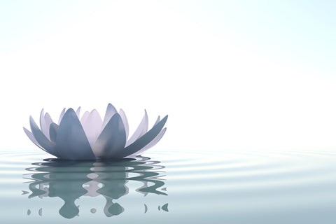 Calm - Inner Peace Blend-Essential Oil-PurePlant Essentials