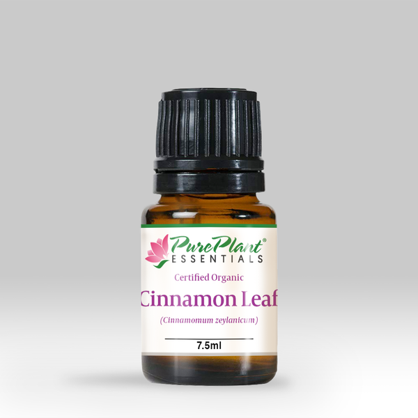Cinnamon Leaf Oil, Cinnamomum zeylanicum - Organic, Madagascar (High Phenol) - SAVE Up to 60% OFF!-Single Pure Essential Oil-PurePlant Essentials