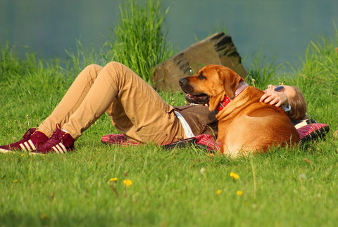 Canine Care - Natural Flea & Tick Protection Mist - SAVE 30% OFF!-Aromatic Mist-PurePlant Essentials