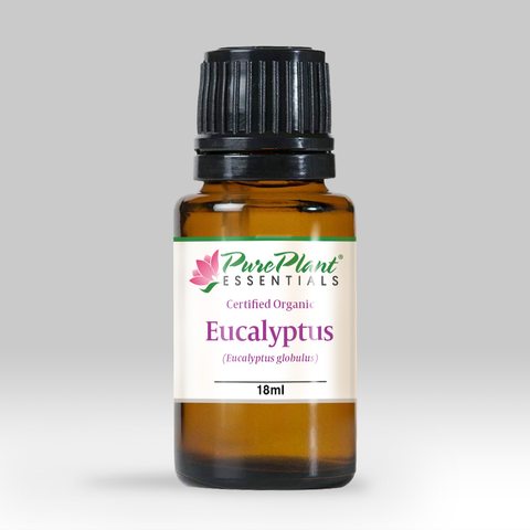 Eucalyptus Essential Oil, Eucalyptus globulus - Organic, Portugal (High 1,8 Cineole)-Single Pure Essential Oil-PurePlant Essentials