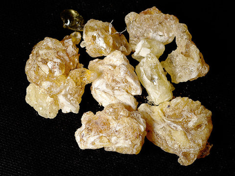 Frankincense/Olibanum Oil, Boswellia frereana - Ethically Wild Crafted Organic, Somalia-Single Pure Essential Oil-PurePlant Essentials