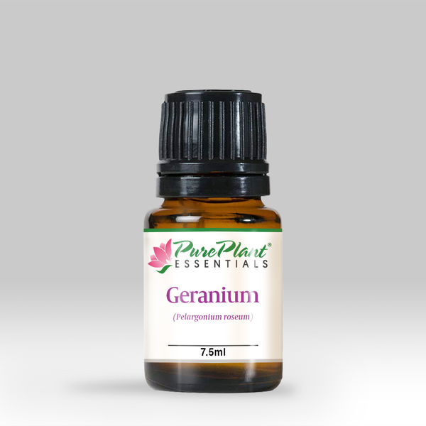 Geranium Oil, Pelargonium roseum - Organic, Madagascar-Single Pure Essential Oil-PurePlant Essentials
