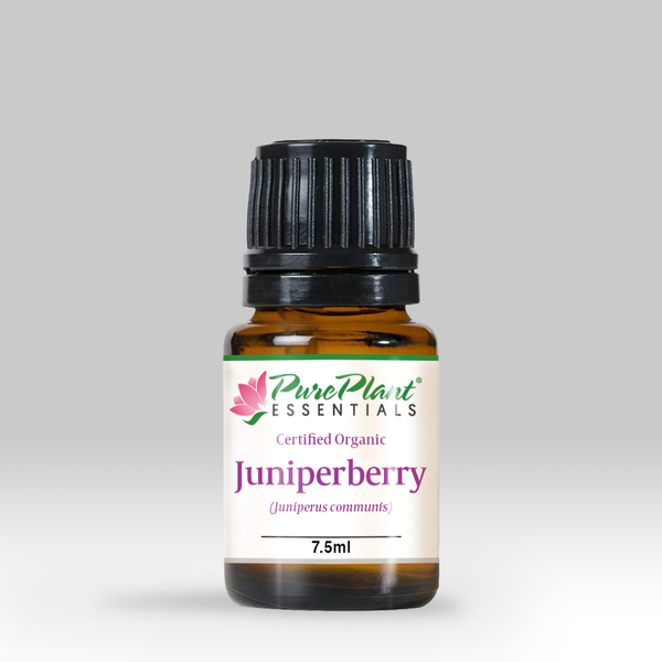 Juniperberry Oil, Juniperus communis - Organic, Bosnia-Single Pure Essential Oil-PurePlant Essentials