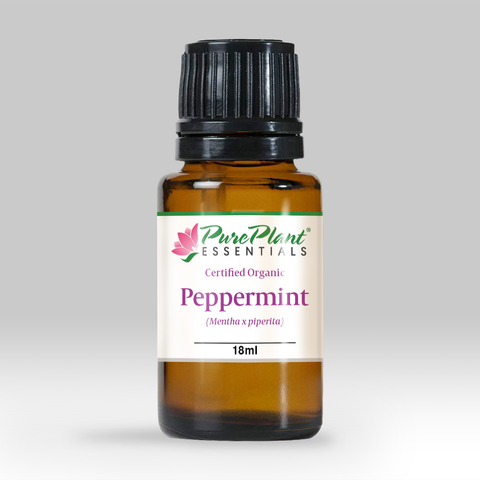 Peppermint Essential Oil, Mentha x piperita, Organic, India - SAVE Up to 30% OFF!-Single Pure Essential Oil-PurePlant Essentials