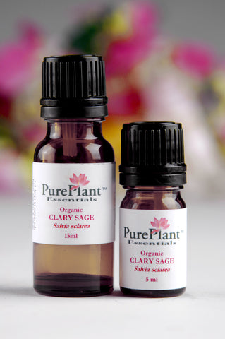 Clary Sage Essential Oil, Salvia sclarea - France - SAVE Up to 65% OFF!-Single Pure Essential Oil-PurePlant Essentials