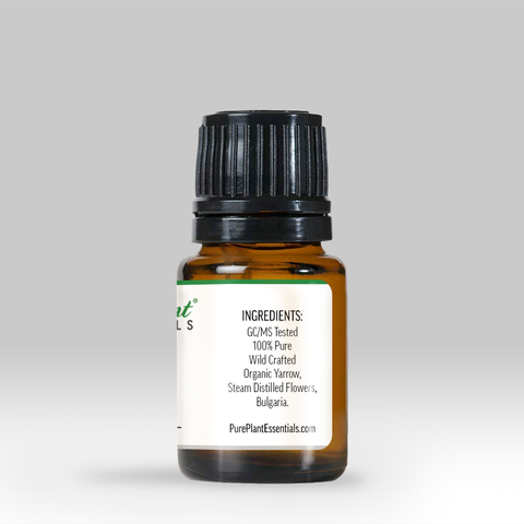 Blue Yarrow Essential Oil, Achillea millefolium - Ethically Wild Crafted Organic, Bulgaria-Single Pure Essential Oil-PurePlant Essentials